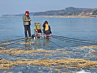 [여울목] 대호만 무장리수..