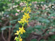 7/29(수)서울대공원 산림..
