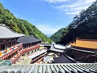 5/23~5/24(토/일)소백산 ..
