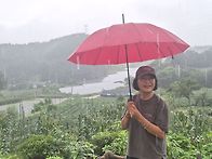 # 26/7/24(목ㆍ금)인제 ..