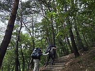 9/5~9/6(토/일)어답산백패..