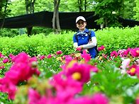 5/27(수)서울대공원 장미..