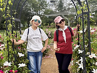 5/27(수)서울대공원 장미..