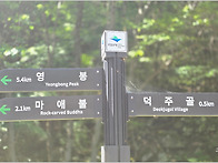 26/05/30(토) 송계계곡 답..
