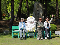 260505(화) 용문사 트레킹..