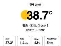 찬란한 여름