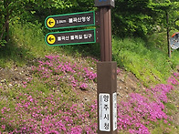 양주 불곡산