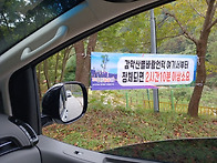 거창보라색국화축제