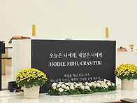 2025.11.4 성 가롤로 보르..