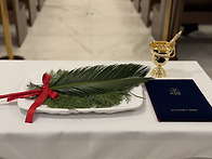 [주일학교]주님 수난 성지..