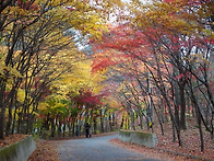 인제 필례약수