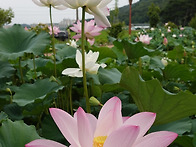 대구 여행