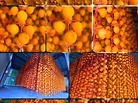 함양산 반건시 곶감 [선물..