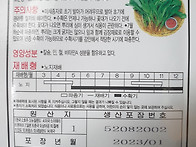 산천고들빼기,경신씨앗