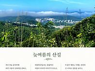 RE:하와이 라이딩 (리옹 ..