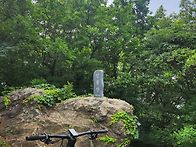 7.5 대,인,청