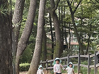 참나무반 7월 5주차