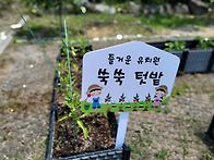 연대놀이-키즈드럼과 텃밭..