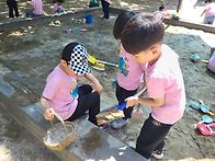 5월 2주 자유놀이
