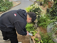 신양이와 진성이의 등산