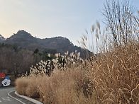 홍천 무궁화 동산