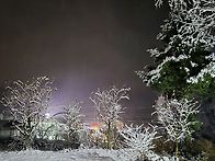 오늘 아침 설경