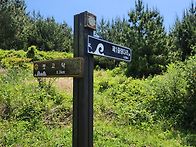 욕지도