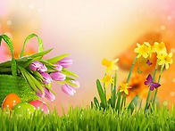 사랑해보지 않은 ..