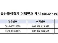 2024년 11월 축산..