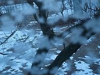 자연이 그린 그림16(a picture drawn..