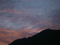 嘉香園의 여름3(Summer of Hyangwon..