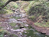 장안산 계곡2(the Jangan Mountain ..
