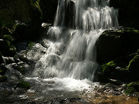 신무산의 여름3(the summer of Mt. ..