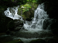 嘉香園의 여름5(Summer of Hyangwon..