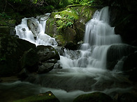 신무산의 여름3(the summer of Mt. ..