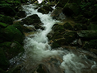 嘉香園의 여름5(Summer of Hyangwon..
