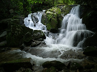 신무산의 여름1(the summer of Mt. ..