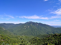 남산제일봉 산행사..