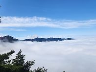 비슬산 운해와 참..