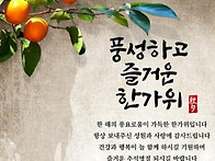 청산도게스트하우..