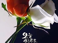 당신께 드리는 글