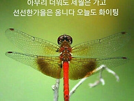누구나 아는 이야기지만,