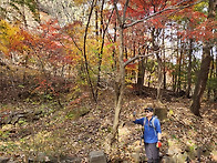 청계산 토욜 산행