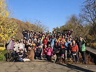 24년 11월 도림총동문산행