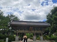 광릉수목원 단합대회 사진