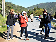 ☆ 청산도 길에서..