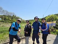 푸르른 5월 광교산
