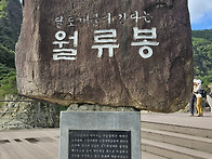 2024-09-22 일. 충북 영..