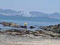 신수도랑께.
