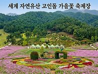천년의 세월 화순..